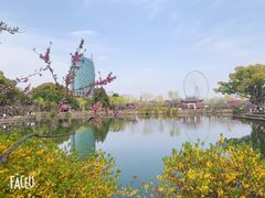 -无锡蠡湖国家湿地公园-蠡园