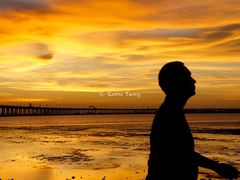 -宝安西湾红树林湿地公园