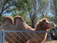 -长白岛森林公园