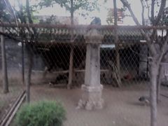 -罔极寺
