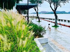 -长洲岛都市农业公园