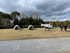 -春花秋色城市公园