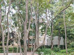 -八大关景区