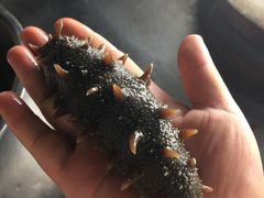 -鱼市酒店(威海水产批发市场店)