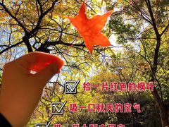 -云峰山自然风景区