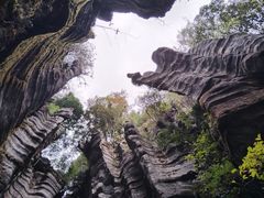 -梭布垭石林景区