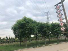 -甜心庄园·甜心草莓采摘园(西青中北店)