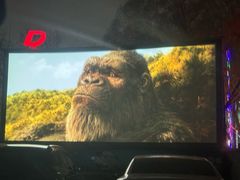 -枫花园汽车电影院(朝阳公园店)