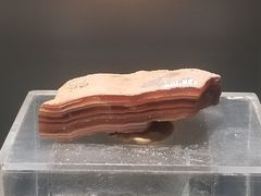 -中国地质博物馆