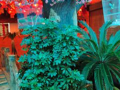-红色根据地文化主题酒店(太湖街店)
