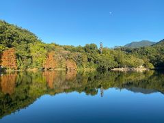 -深圳仙湖植物园