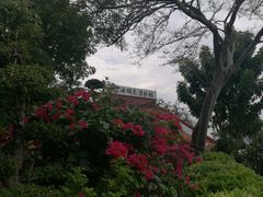 -鼓浪屿钢琴博物馆