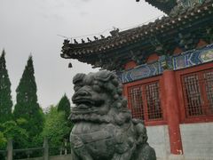 -洛阳白马寺