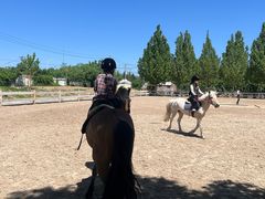 -北京群众马术培训基地