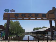 -白洋淀景区