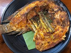 香茅草烤罗非鱼-麒麟风烤牛肉·云南烧烤小排档(丹凤街店)