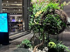 -博林天瑞喜来登酒店·西丽尚膳