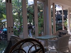 -Fern Forest Cafe