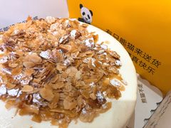 海盐流心-熊猫不走蛋糕(东平店)