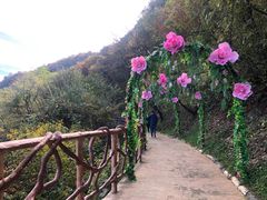-少华山国家森林公园