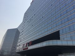 -中国人民解放军总医院(301医院)