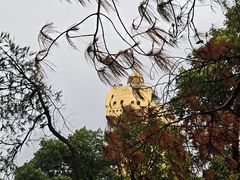 -大金鹰园