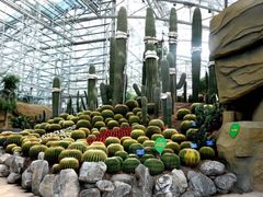 -南山植物园