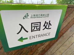 -上海滨江森林公园