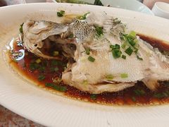 -红樱桃·欢乐餐厅(太原里店)