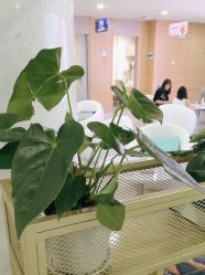 -重庆联合丽格第五医疗美容医院