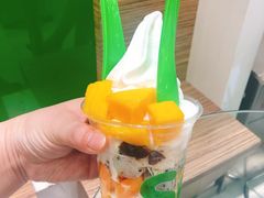 -Salud撒露欧洲冻酸奶(蓝色港湾店)