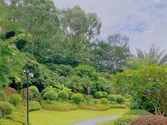 -南宁荔园维景国际酒店·荔园中餐厅