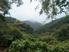 -羚羊峡古栈道森林公园