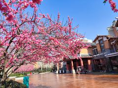 -郑州方特梦幻王国