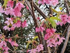 -梁鸿国家湿地公园