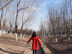 -永定河休闲森林公园