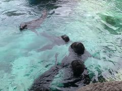 -珠海长隆海洋王国