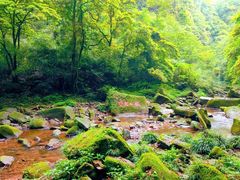 -碧峰峡风景区