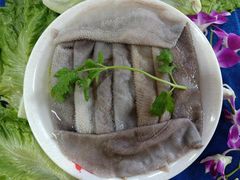 -马帮寨院坝火锅(龙港公园店)