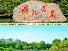-塘沽森林公园