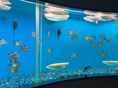 -碧涛阁水世界酒店·洗浴·自助(万家丽路店)