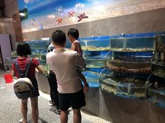 -蓝珊甄选海鲜自助·火锅大排档(近阿那亚店)