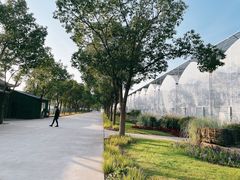 -海上花岛玫瑰园采摘