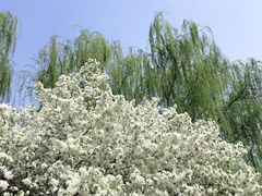 -元大都城垣遗址公园