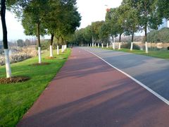 -艾溪湖湿地公园