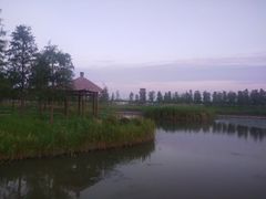 -春花秋色城市公园