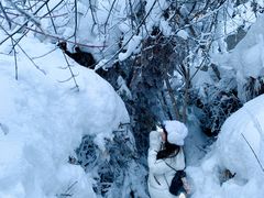 -峡谷浮石林景区