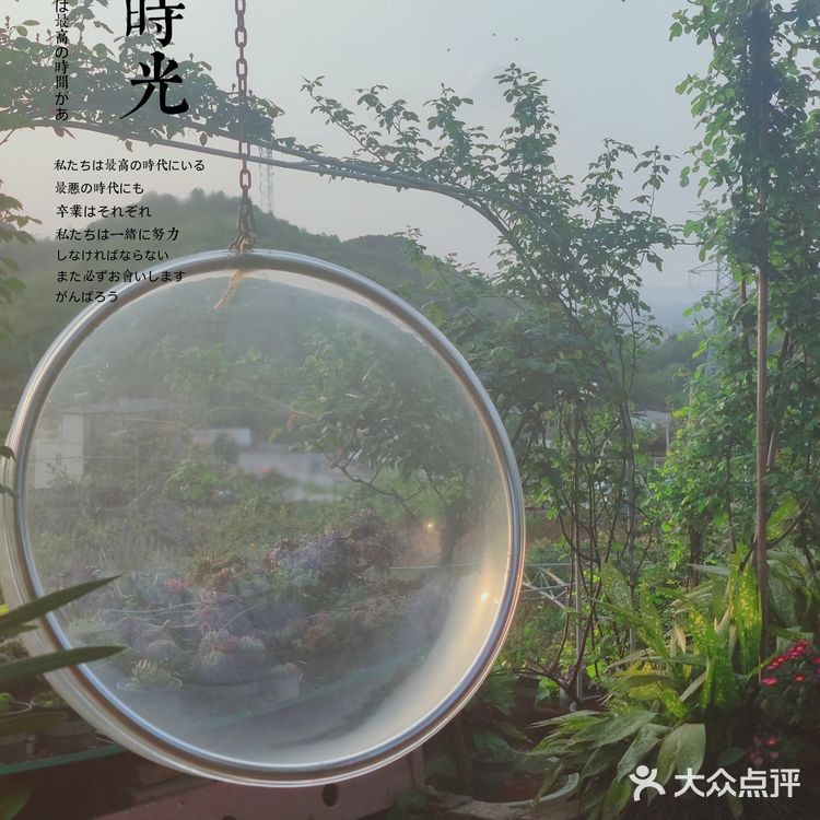 周末去哪里,龙泉山上踏青➕烤肉一站式搞定