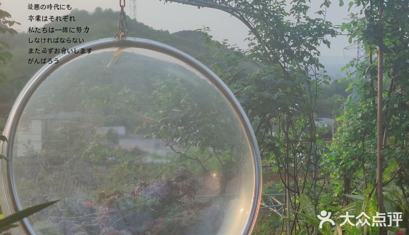 周末去哪里，龙泉山上踏青➕烤肉一站式搞定