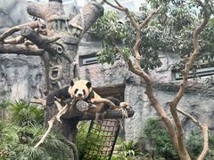 -石排湾郊野公园